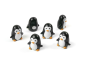 Preview: Niedliche Pinguin-Magnete im 6er Set von trendform – ideal für Kühlschrank und Memoboard