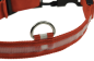 Preview: LED Hundehalsband leuchtend in Rot