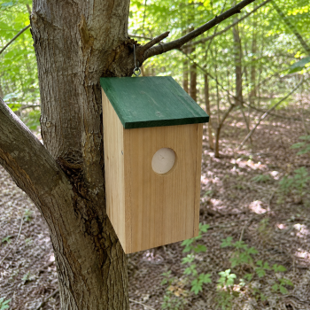 Preview: Holz Vogelhaus als kreatives Geocaching-Versteck mit Öse zum Aufhängen z.B. im Wald
