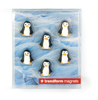 Preview: Magnet-Set PINGU mit süssen Pinguinen – erhältlich bei Geo-Discount