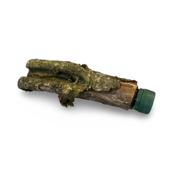 Geocaching Astversteck mit Petling – Tarnung pur | Geo-Discount.ch