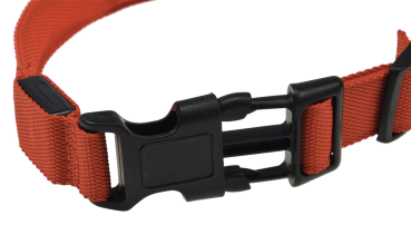 LED Hundehalsband leuchtend in Rot