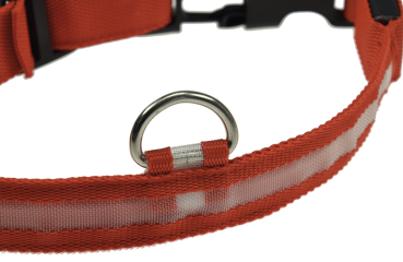 LED Hundehalsband leuchtend in Rot