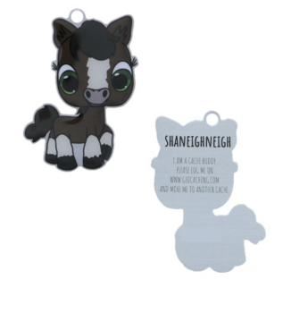 Pony Geocaching Trackable