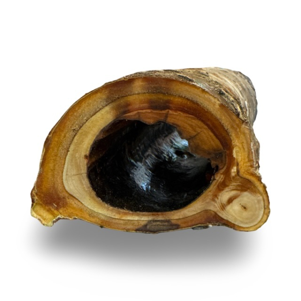 Geocaching Astversteck mit durchgehendem Loch
