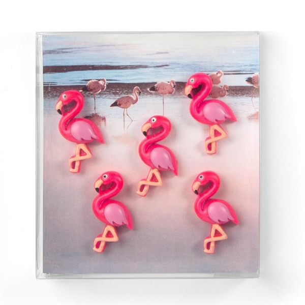 Trendform Magnet-Set Flamingo – 5 Stück für Deko oder Schatzsuche