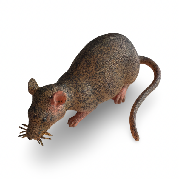 Täuschend echtes Geocaching Versteck Ratte aus Silikon mit Dose