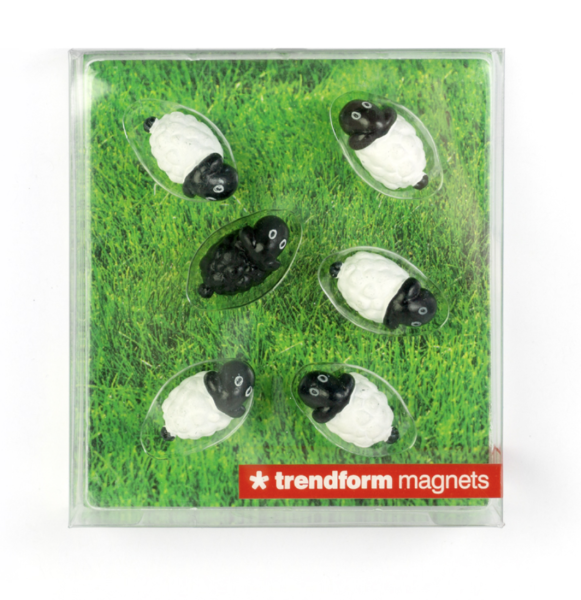 SHEEP Magnet-Set für Kühlschrank oder Büro – jetzt bei Geo-Discount entdecken