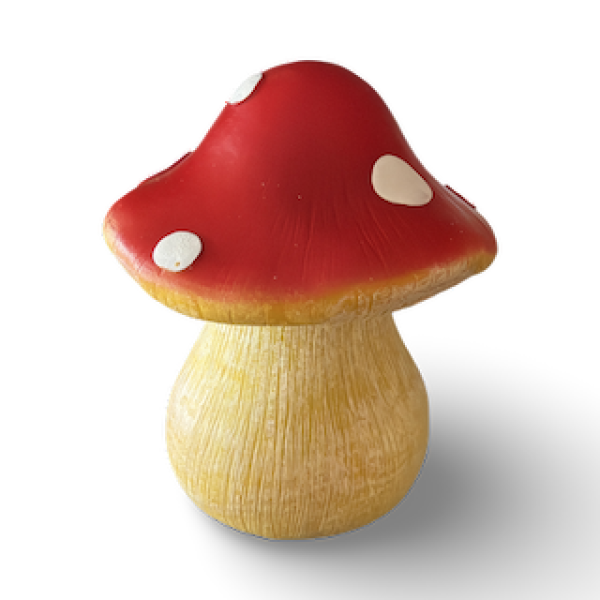 Wetterfestes Geocache Pilz Versteck mit Boden-Deckel im Wald