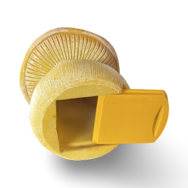 Geocaching Pilz Versteck ca. 13 cm hoch, ideal getarnt