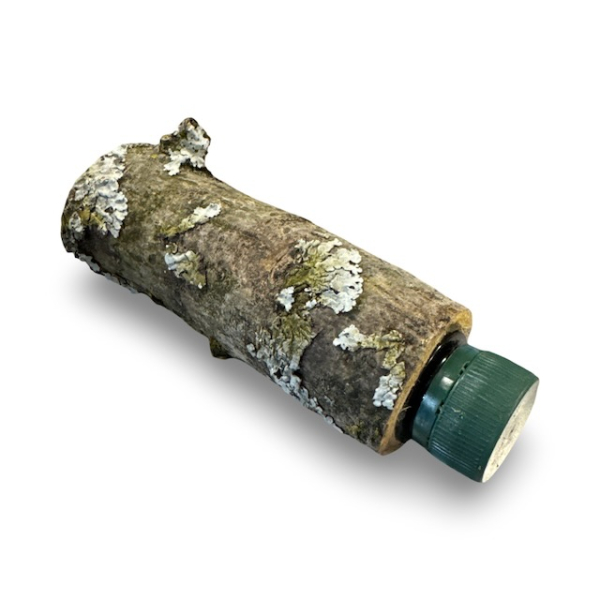 Geocaching Astversteck mit Petling – Tarnung pur | Geo-Discount.ch