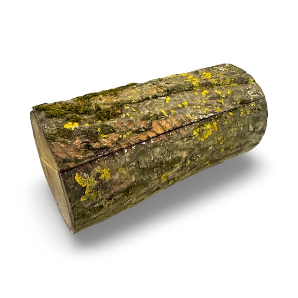 Geocaching Asttruhe – Versteck mit Magnet & Petling | Geo-Discount.ch