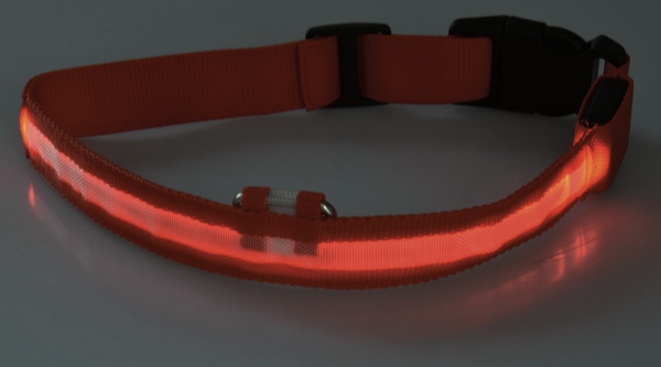 LED Hundehalsband leuchtend in Rot